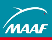 Assurance de voitures sans permis MAAF à Marseille